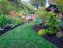 lawn and garden