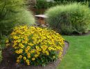 rl web portfolio gardens mcro hot tup