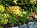 rl web portfolio gardens rock border