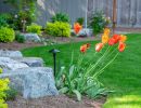 rl web portfolio wagn plantings