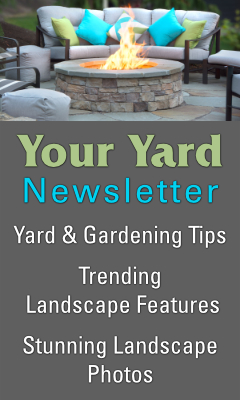 your yard newsletter