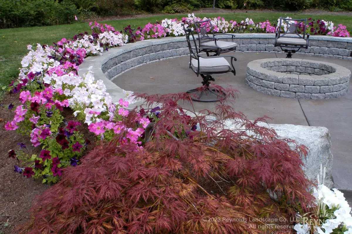 rl web portfolio gardens cuml flower border