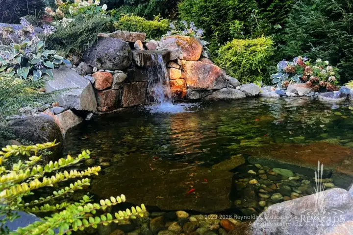 Stunning water feature with lighting