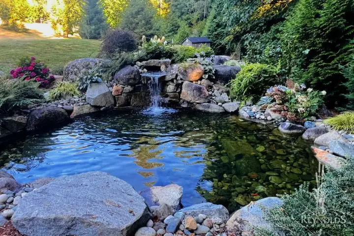 large pond with waterfall