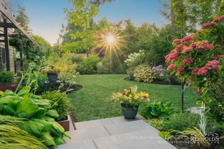 rl web portfolio mcco backyard29