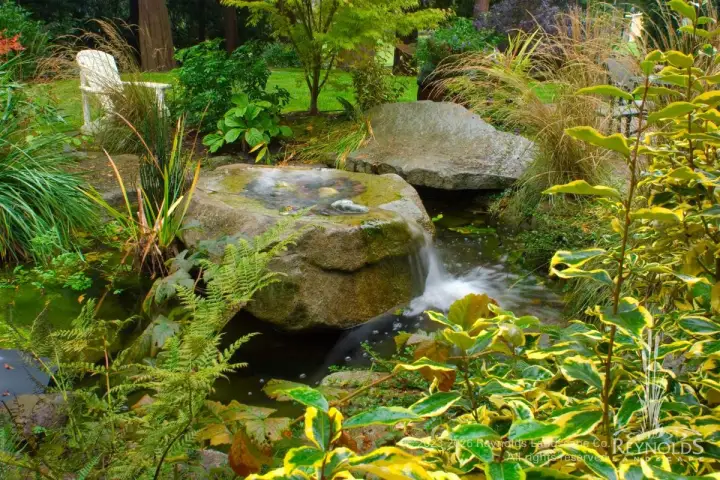 rl 2023 web portfolio water