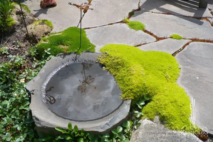 rl 2023 web portfolio water