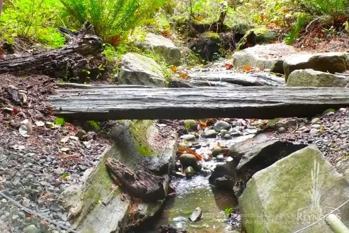 rl 2023 web portfolio water