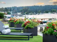 Stunning square fierglas border planters.