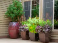 Glazed ceramic tree and accent platners.