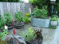 Metal and wood vegetable planter garden.