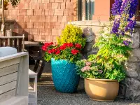 Flower, wall accent planters.