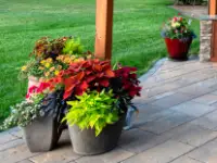 Concrete patio accent planters.