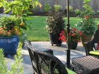 Ceramic and concrete patio garden.