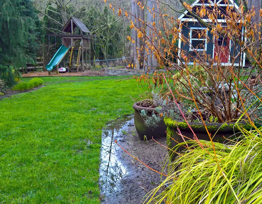 lawn puddles