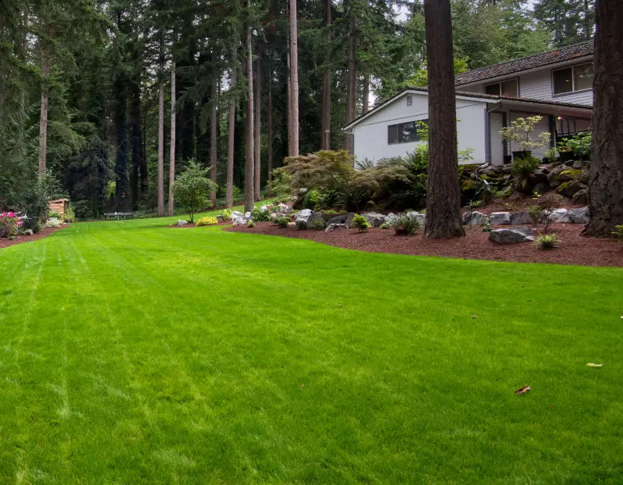 large new lawn