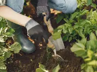 battery operated string-trimmer