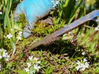 battery operated string-trimmer