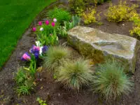 Plantings border a massive boulder feature.