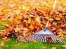 woman raking leaves
