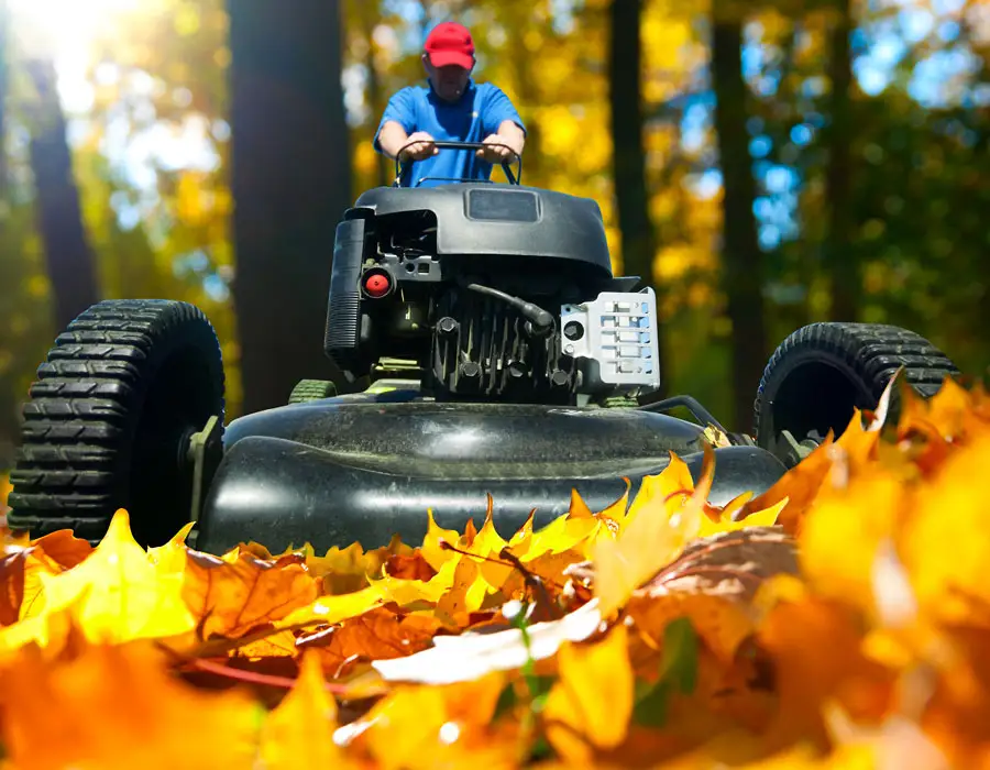 man mows fallen leaves
