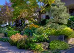 lush garden entry