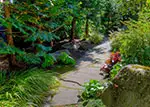 flagstone pathway through lush garden