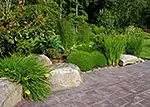 patio border plantings