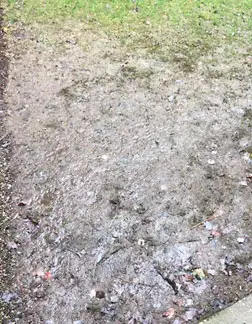 muddy lawn