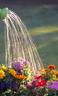 watering can