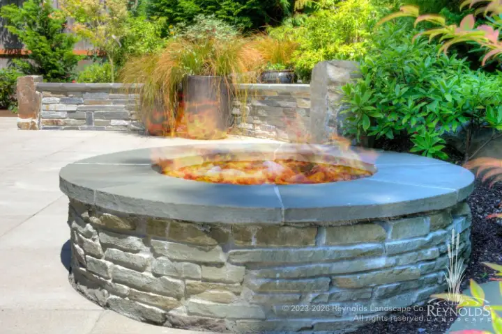 rl web portfolio fire oliv