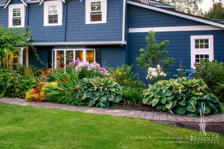 Front yard garden bed with hydrangeas, hostas, and mixed perennials along a navy blue home exterior
