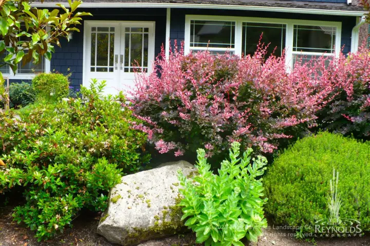 rl web portfolio gardens eppe patio