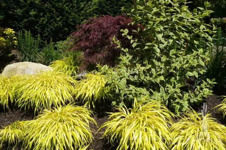 rl web portfolio gardens grasses