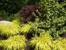 rl web portfolio gardens grasses