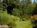 rl web portfolio gardens huli back yard