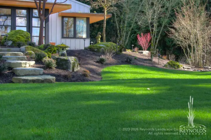 Sloped backyard lawn with stone slab steps, boulder retaining features, and mixed shrub plantings beside a modern home