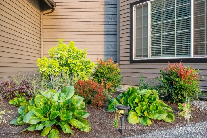 Foundation garden bed with hostas, nandina, spirea, and mixed colorful shrubs along a home exterior