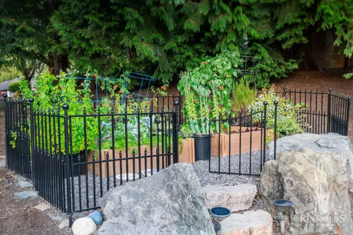 rl web portfolio gardens koni vegetible garden