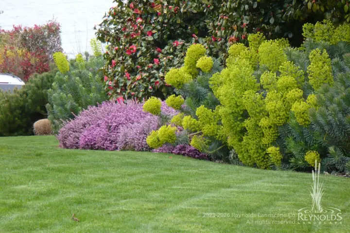 rl web portfolio gardens lawn border plantings