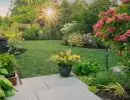 rl web portfolio gardens mcco backyard