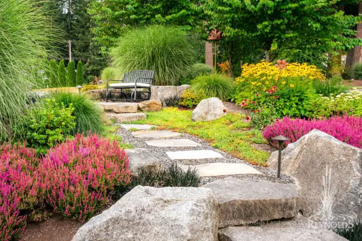 Flagstone stepping stone path through a garden with boulders, heather, and yellow flowering shrubs
