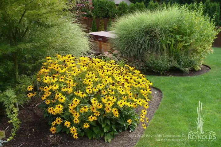 rl web portfolio gardens mcro hot tup