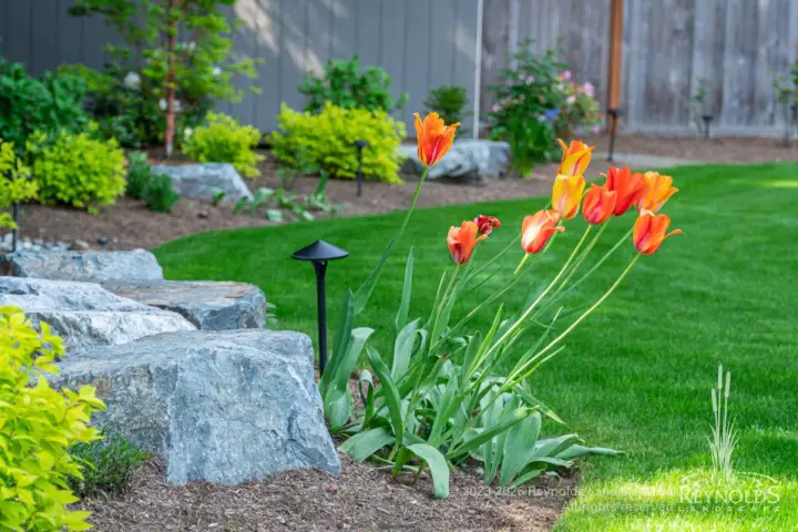 rl web portfolio gardens wagn tulips