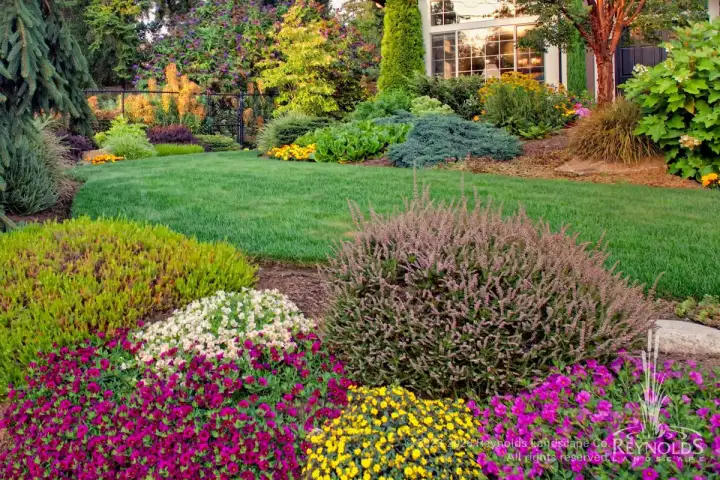 Vibrant fall garden with mounding chrysanthemums in yellow, pink, and red, manicured lawn, and mixed shrubs and deciduous trees in autumn color