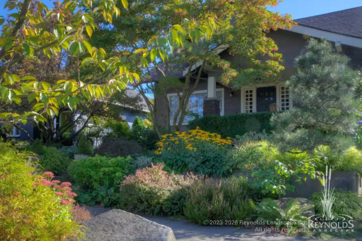 Lush layered front yard garden with mixed shrubs, ornamental grasses, and perennials in fall color surrounding a craftsman home with mature deciduous trees overhead