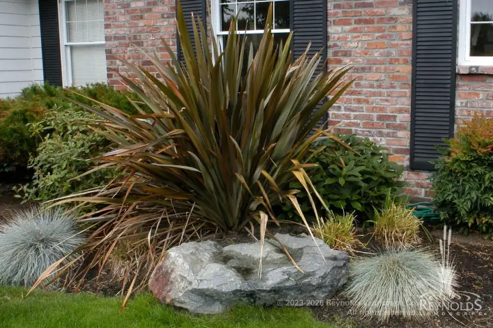 rl web portfolio gardensgree giant grass