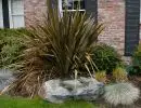 rl web portfolio gardensgree giant grass
