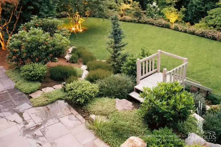 rl web portfolio hillside