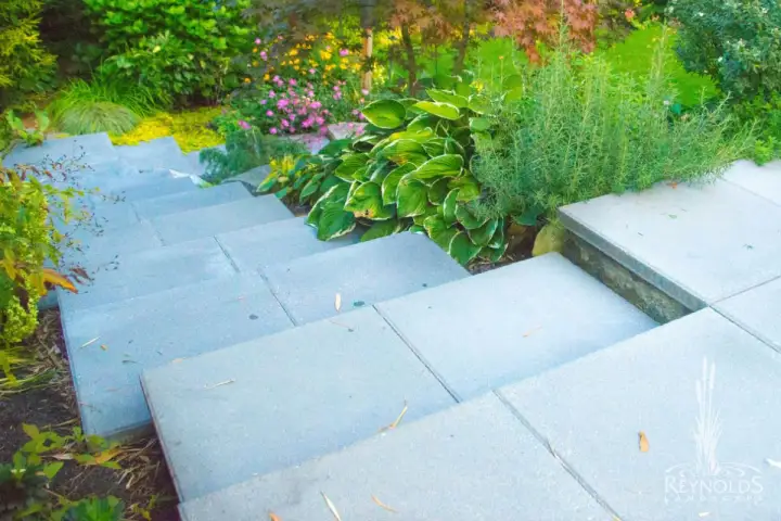 Large bluestone slab stair steps with a low concrete planter wall and ornamental grasses in a garden landscape